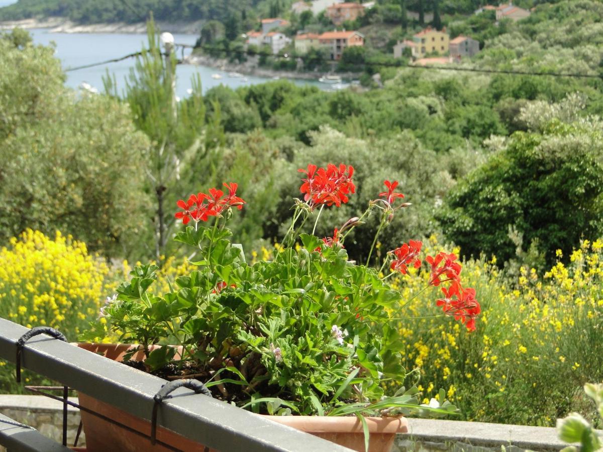Appartamento Vedran Labin  Esterno foto